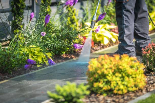 Best Spring Cleaning  in Imperial, PA